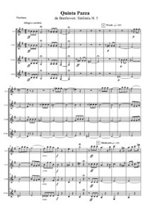 Quinta Pazza - Beethoven Sinfonia N.5