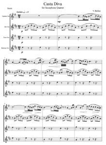 V. Bellini - Casta Diva